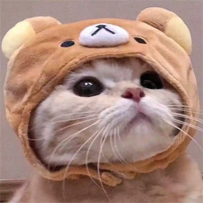Huyền Trang avatar